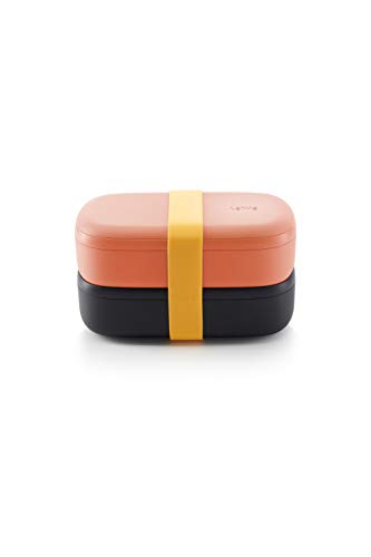 Lékué Recipiente hermético para Transportar y conservar Alimentos, Polipropileno, Coral, Talla única