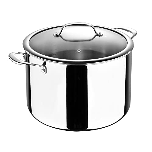 MasterPro Argent 3 Collection, olla de 28 cm, sartén de acero inoxidable de tres capas con tapa de vidrio templado y mango remachado, seguro para todo tipo de gas