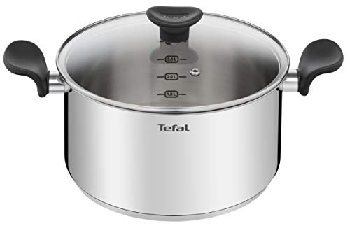 Tefal Olla de 24 cm (5 L) + tapa de cristal, todos los fuegos incluyendo inducción, acero inoxidable de primera calidad, 10 años de garantía, hervir, Primary E3084604