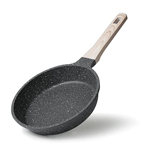 CAROTE Sartenes Antiadherentes, Sartén Induccion Tortilla de Huevo 20cm, Apta Para Todo Tipo de Cocina, Libre de PFOA