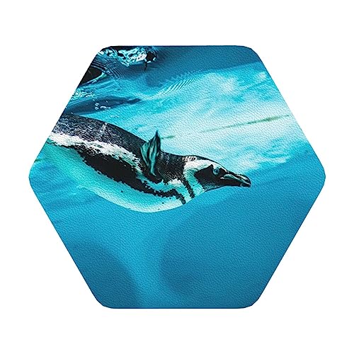 Humboldt Penguin - Posavasos de piel con diseño de pingüino peruano (6 unidades)