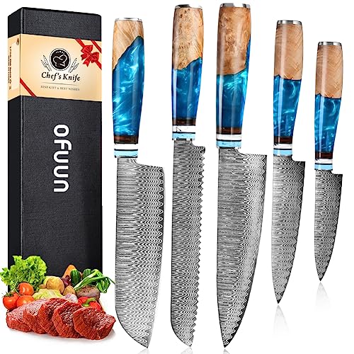 oFuun Set Cuchillo Cocina 5 Piezas, 67 Capas de Acero de Damasco Profesional Juegos de Cuchillo de Cocinero, Cuchillo Chef Santoku Pan Fruta Universal con Mango Resina Azul
