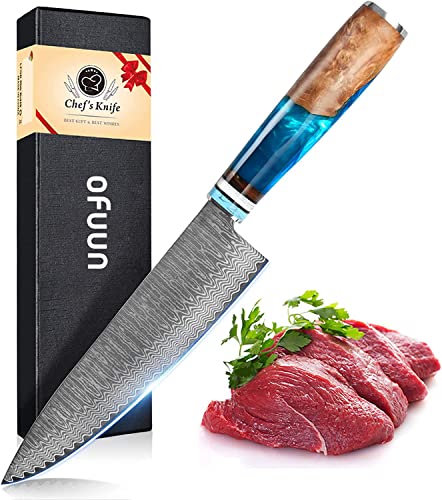 oFuun Cuchillo Cocina Damasco, 20cm Cuchillo Chef Japones de Acero Damasco de 67 Capas, Mango de Resina Azul, Cuchillo de Cocinero Profesional para Cortar Verdura, Fruta, Carne y Pescado