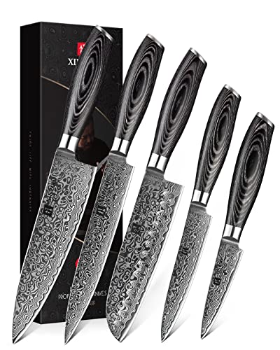 XINZUO Set Cuchillo Cocina 5 Piezas, 67 Capas de Acero de Damasco Juegos de Cuchillo de Cocinero, Profesional Cuchillo Chef Santoku Trinchar Universal Fruta con Mango de Madera de Pakka- Ya Serie