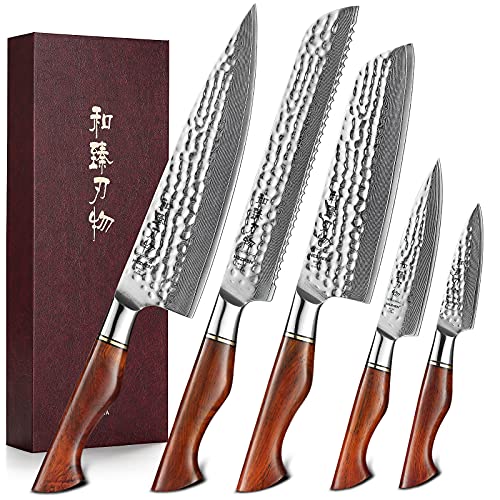 HEZHEN Juego de Cuchillos de Cocina Profesional, Set Cuchillos 5 Piezas,Cuchillo de Cocina Súper Afilado- Acabado Martillado- Acero en Polvo- Mango de Madera Maciza Dalbergia Master Serie