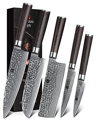 XINZUO Set Cuchillo Cocina 5 Piezas, 67 Capas de Acero de Damasco Profesional Juegos de Cuchillo de Cocinero, Cuchillo Chef Santoku Nakiri Universal Fruta con Mango de Madera de Pakka- He Serie